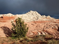 Paria Plateau - White Pocket