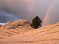 Paria Plateau - White Pocket