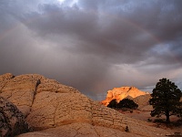 Paria Plateau - White Pocket