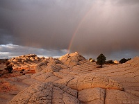 Paria Plateau - White Pocket