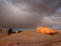 Paria Plateau - White Pocket