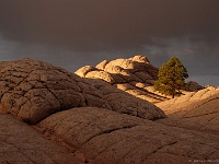Paria Plateau - White Pocket