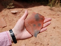 a big Potsherd