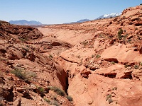 Butler Canyon