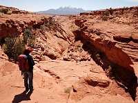 Butler Canyon