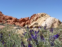 Whitney Pocket