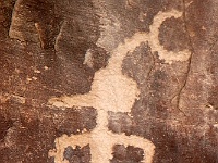 Petroglyphs