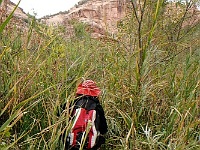 Bullet Canyon