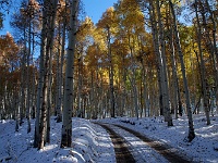 San Juan Mountains - Last Dollar Road