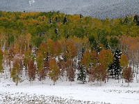 San Juan Mountains - Last Dollar Road
