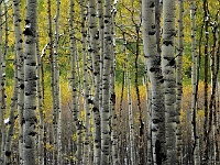 San Juan Mountains - Last Dollar Road