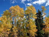 Rocky Mountains