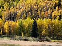 Rocky Mountains