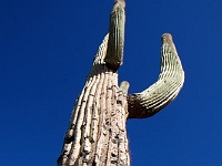 Lost Dutchman SP