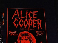 Phoenix - Alice Cooperstown