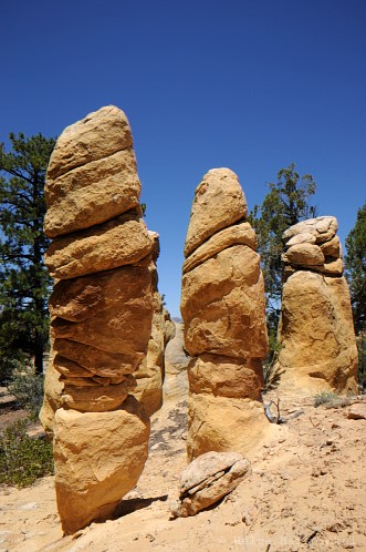 164