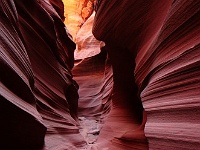 Mountain Sheep Canyon