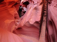 Mountain Sheep Canyon