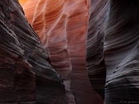 Mountain Sheep Canyon