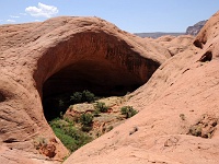 Davis Gulch
