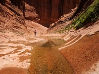 Willow Gulch