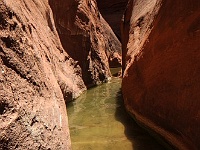 Willow Gulch