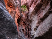 Kanarra Creek