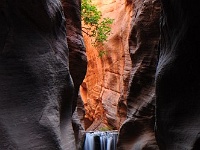 Kanarra Creek