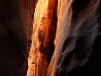 Kanarra Creek