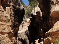 Willis Creek
