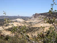 Paria