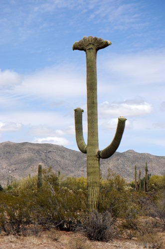 060