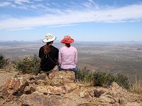 Saguaro NP