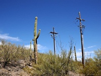 Saguaro NP