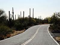 Saguaro NP