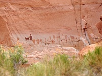 Horseshoe Canyon