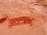 Horseshoe Canyon