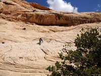 Wild Horse Canyon