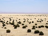 Wupatki NM