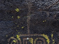 Petroglyphs near the highway