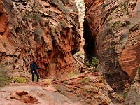 Zion NP - Observation Point