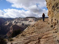 Zion NP - Observation Point