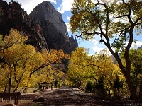 Zion NP