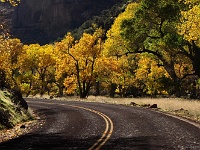 Zion NP