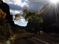 Zion NP