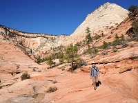 Zion NP