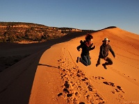 Coral Pink Sand Dunes