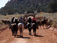 Cowboys at work