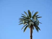 Salton Sea