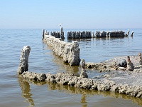 Salton Sea